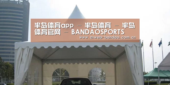 案例标题八