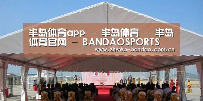 案例标题三
