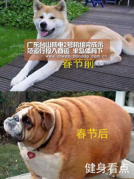 半岛体育下载