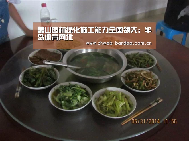 半岛体育网址