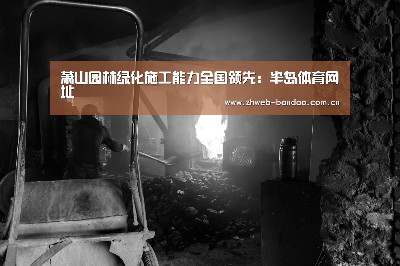 半岛体育网址
