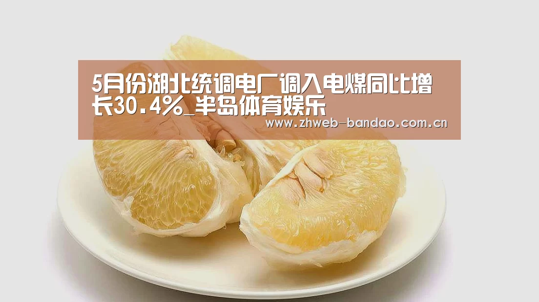 5月份湖北统调电厂调入电煤同比增长30.4%_半岛体育娱乐(图2) 半岛体育下载